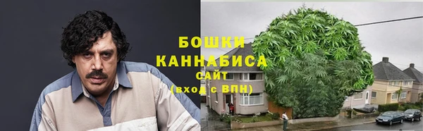 трава Елабуга