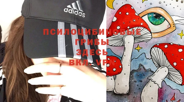 трава Елабуга