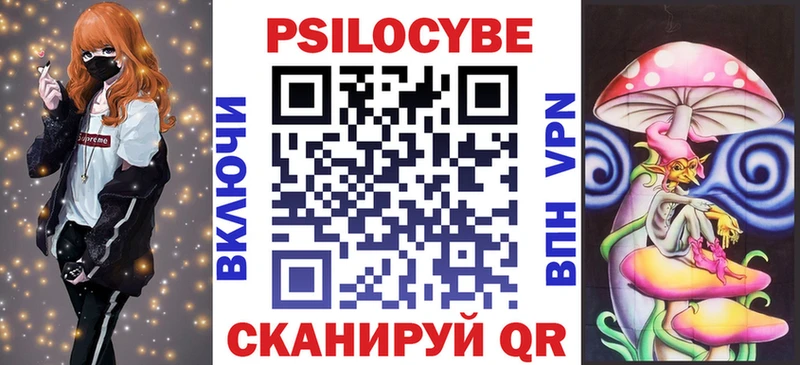 Галлюциногенные грибы Psilocybine cubensis  Железногорск-Илимский 